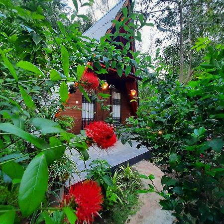 The Otunna Guest House סיגירייה מראה חיצוני תמונה
