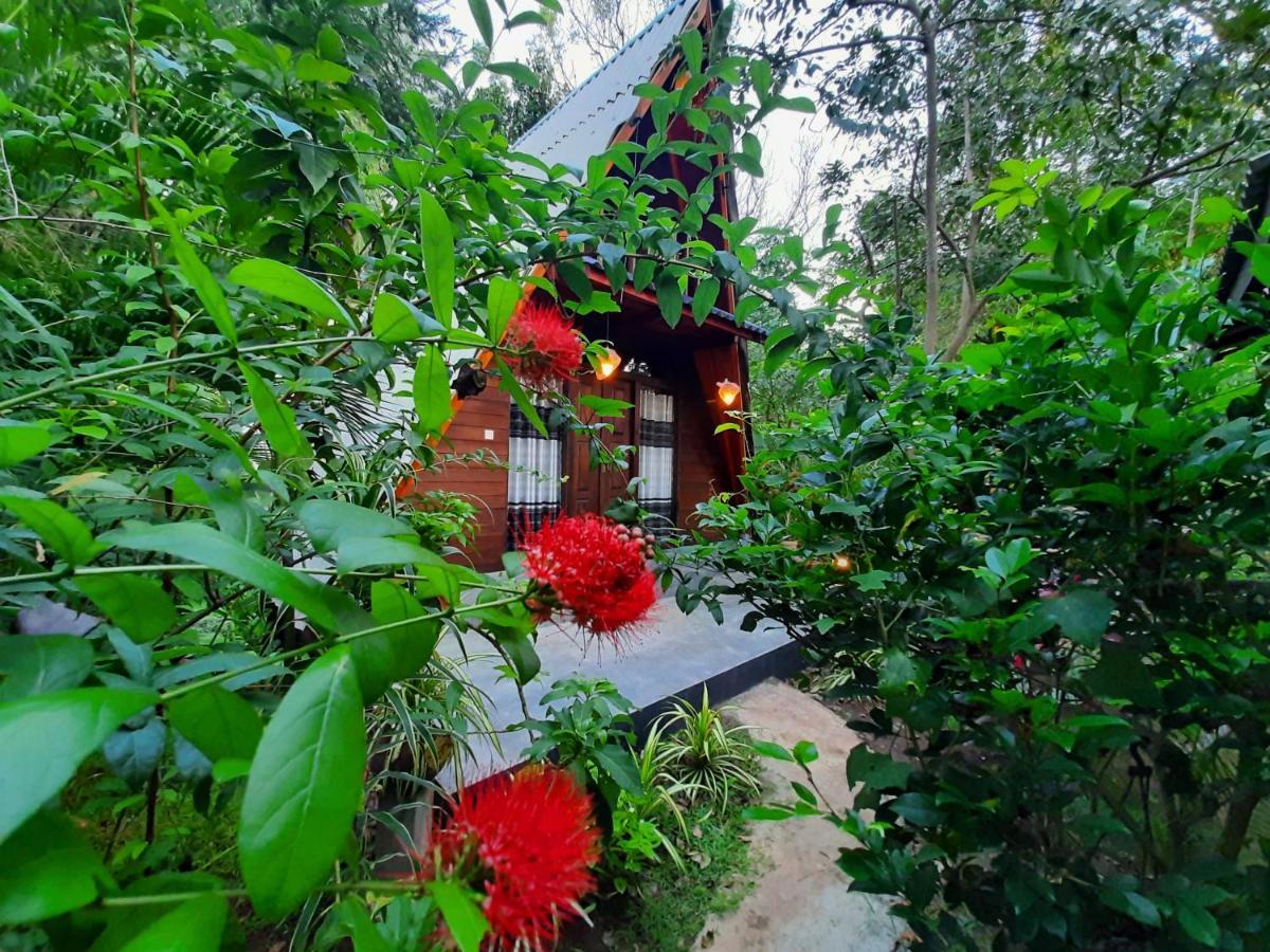 The Otunna Guest House סיגירייה מראה חיצוני תמונה